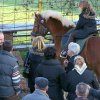 Blagoslov konj 2009 - 034
